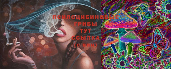 PSILOCYBIN Нефтегорск